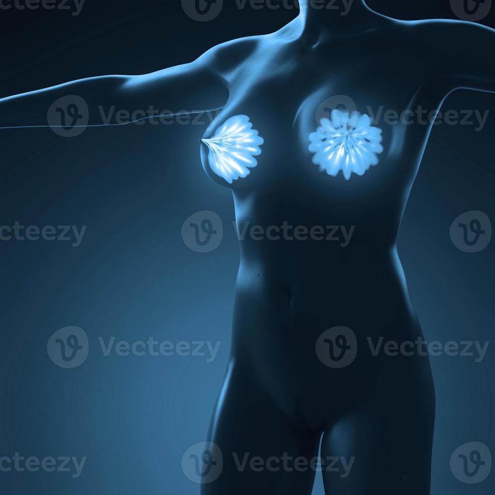science anatomy of human body with glow mammary gland photo