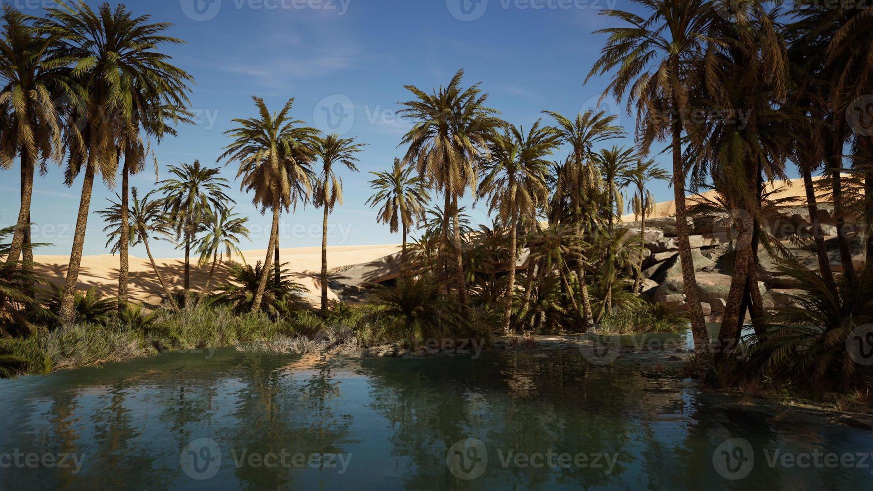 Palm trees flourish around a pool of water at a park in Palm Desert photo