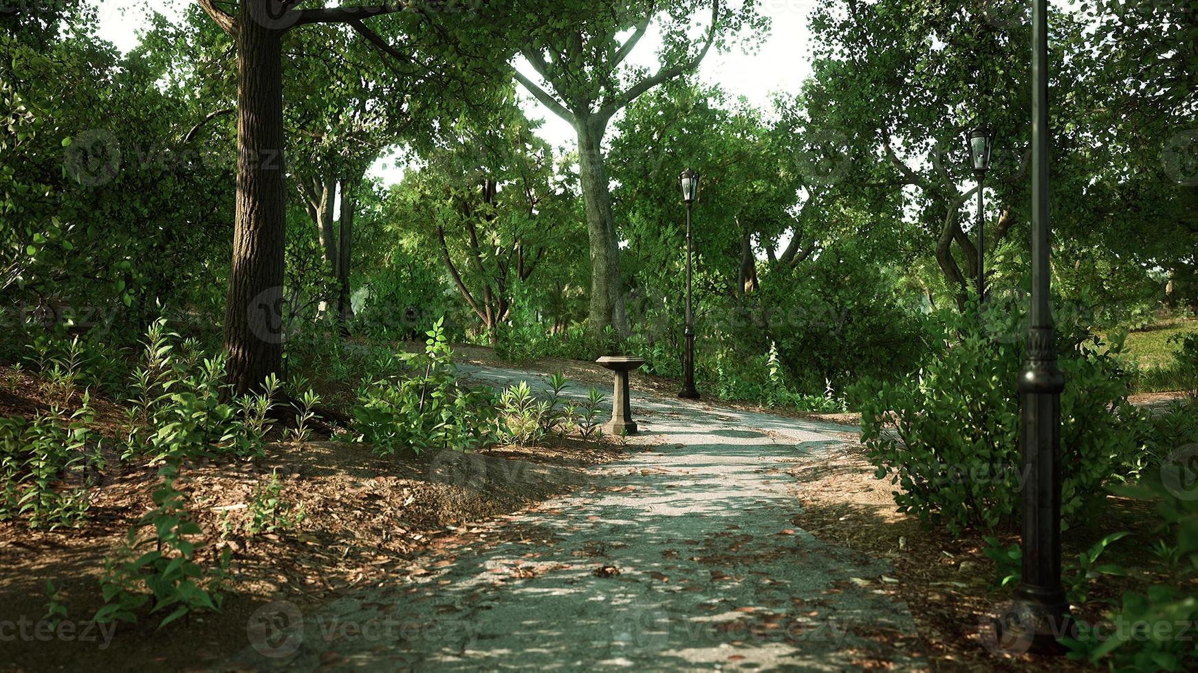 parque cerrado vacío como prevención de la enfermedad coronavirus covid-19 foto