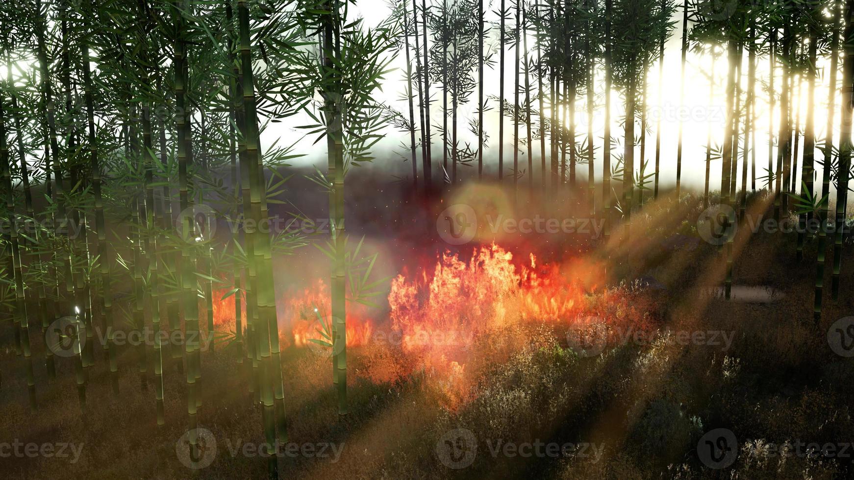 viento que sopla sobre árboles de bambú en llamas durante un incendio forestal foto