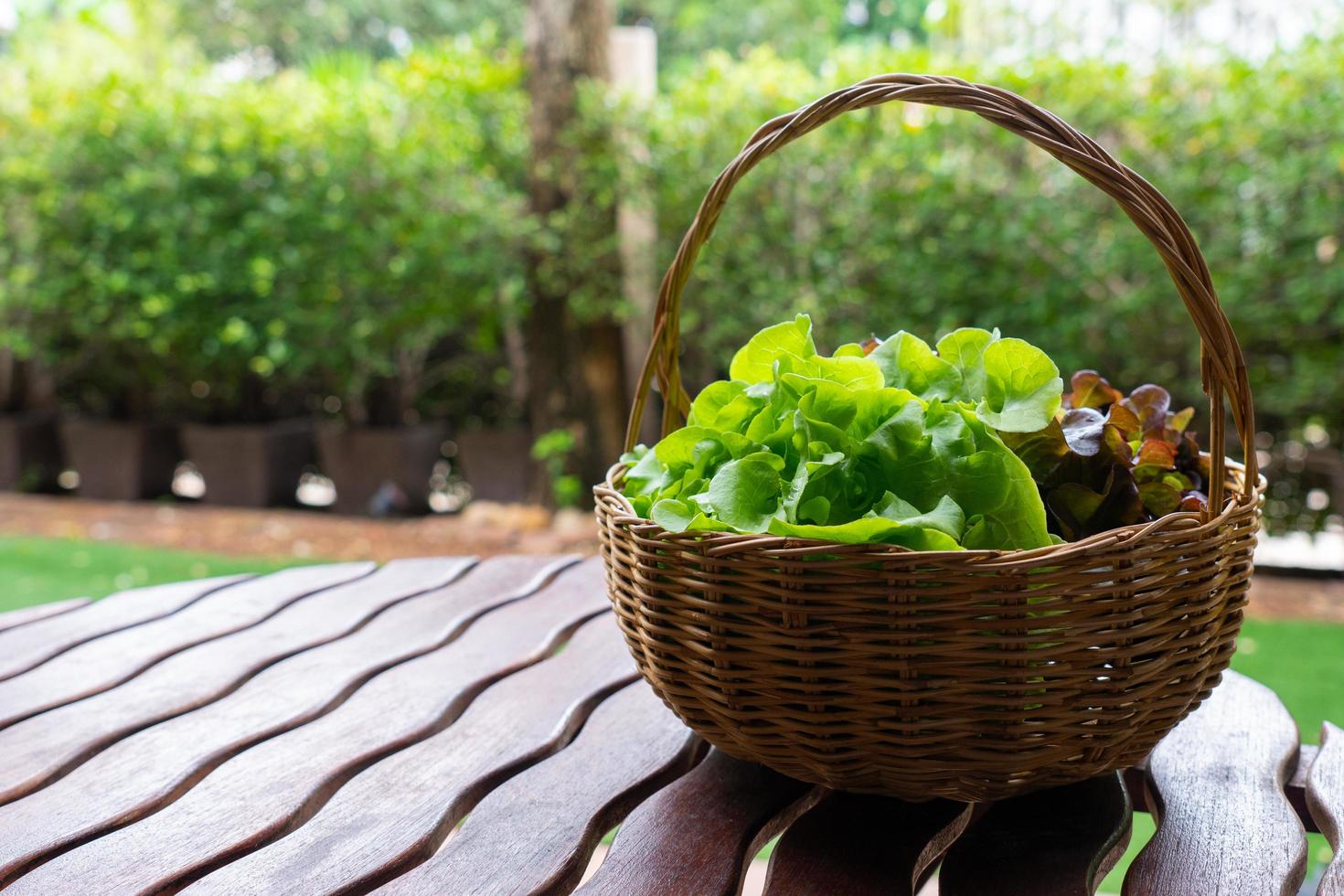 Organic fresh green lettuce in the busket on table photo