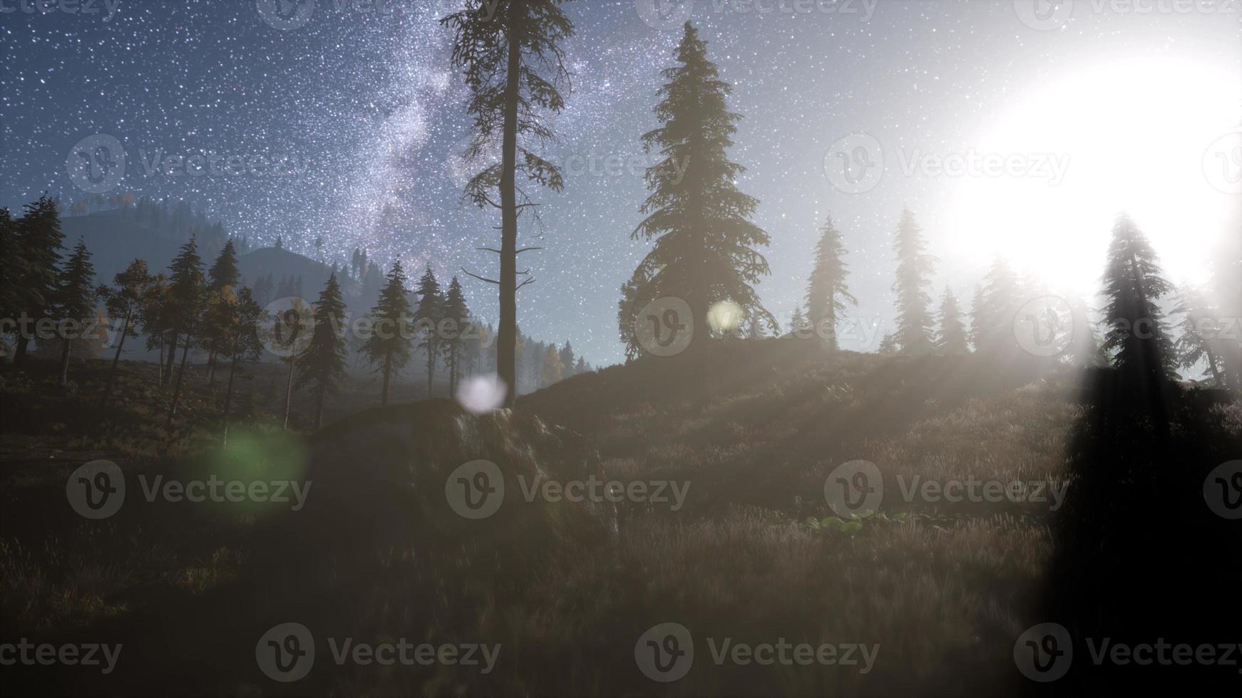 Milky Way stars with moonlight above pine trees forest photo