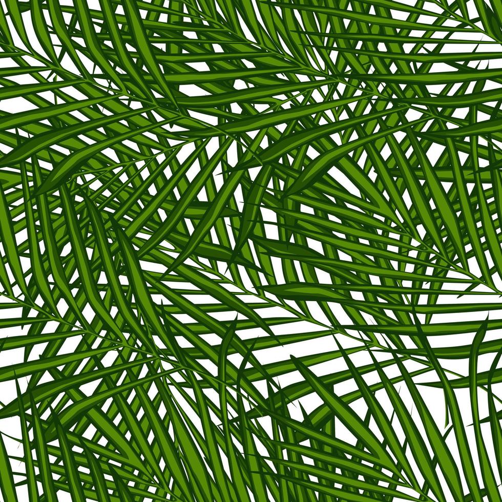 Fern leaf wallpaper. Abstract exotic plant seamless pattern. vector