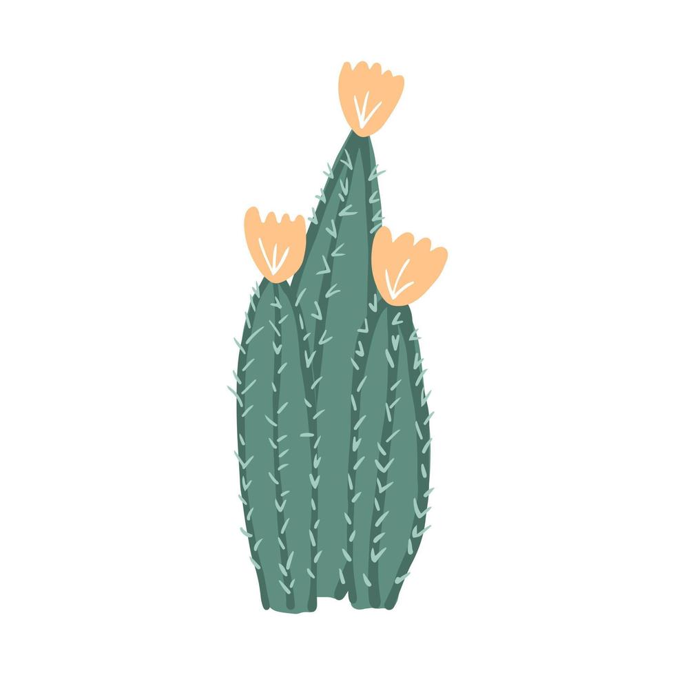 Simple cactus in doodle style. Cute prickly green cactus. Cacti flower isolated on white background. vector