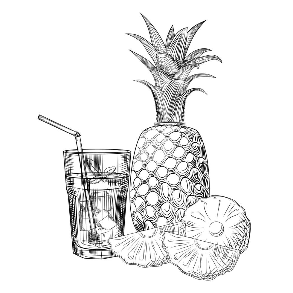 Pineapple fruit cocktail sketch. Slices of pineapple. vector