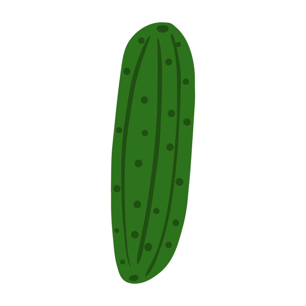 Cucumber in doodle style isolated on white background. Hand drawn vegetable. vector