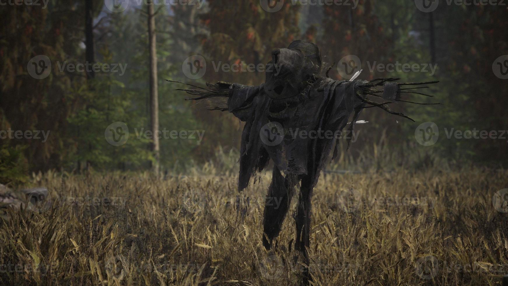 terrible scarecrow in dark cloak and dirty hat stands alone in autumn field photo