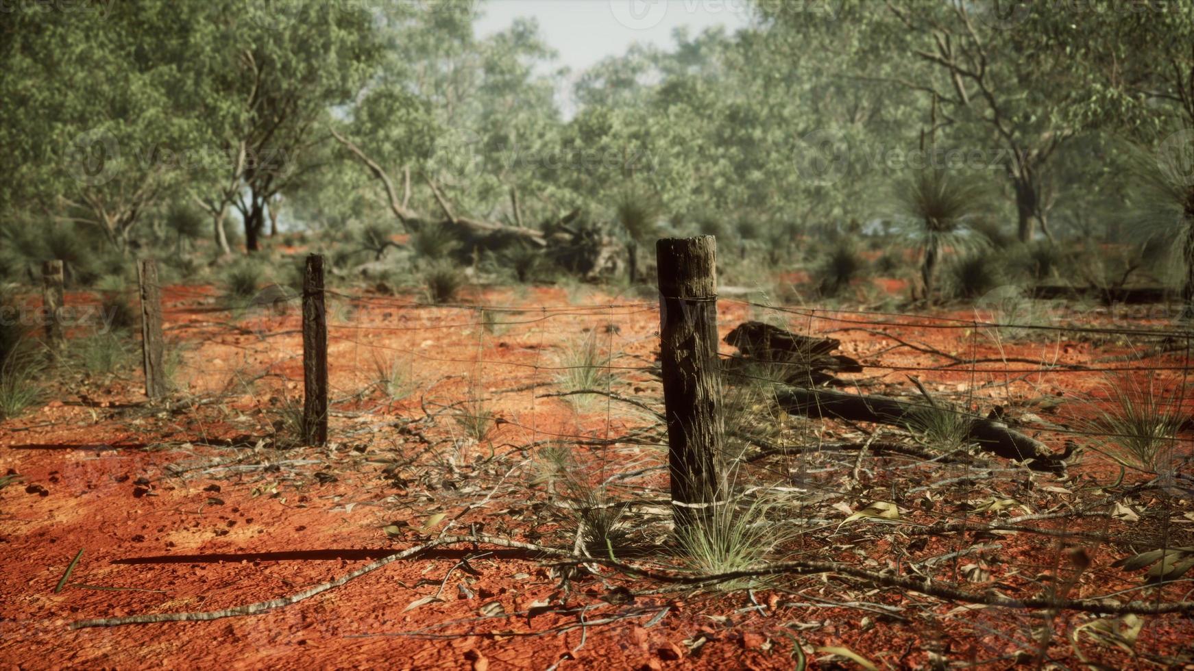 old rusted small farm fence photo