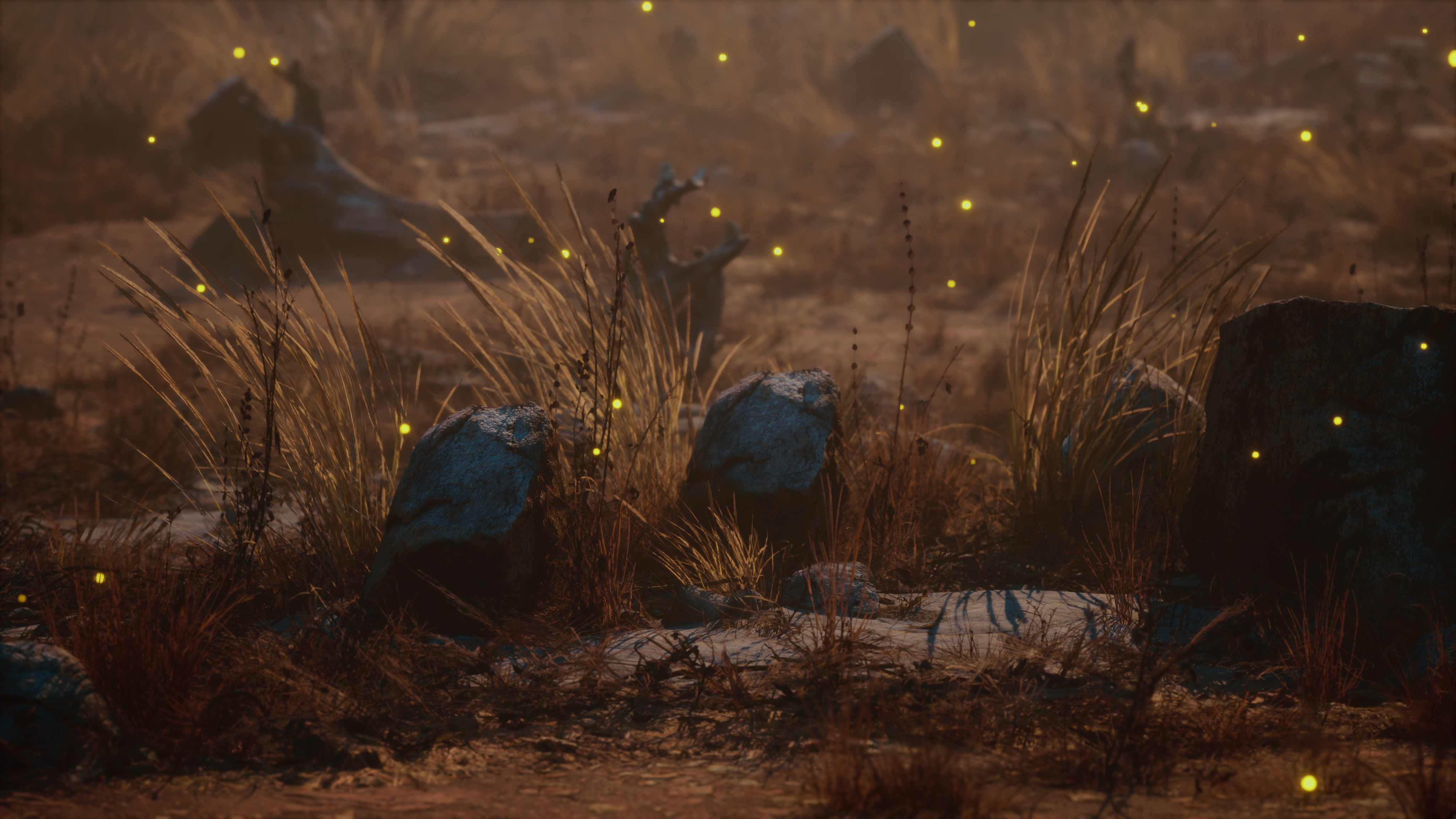 Firefly Stock Photos, Images and Backgrounds for Free Download