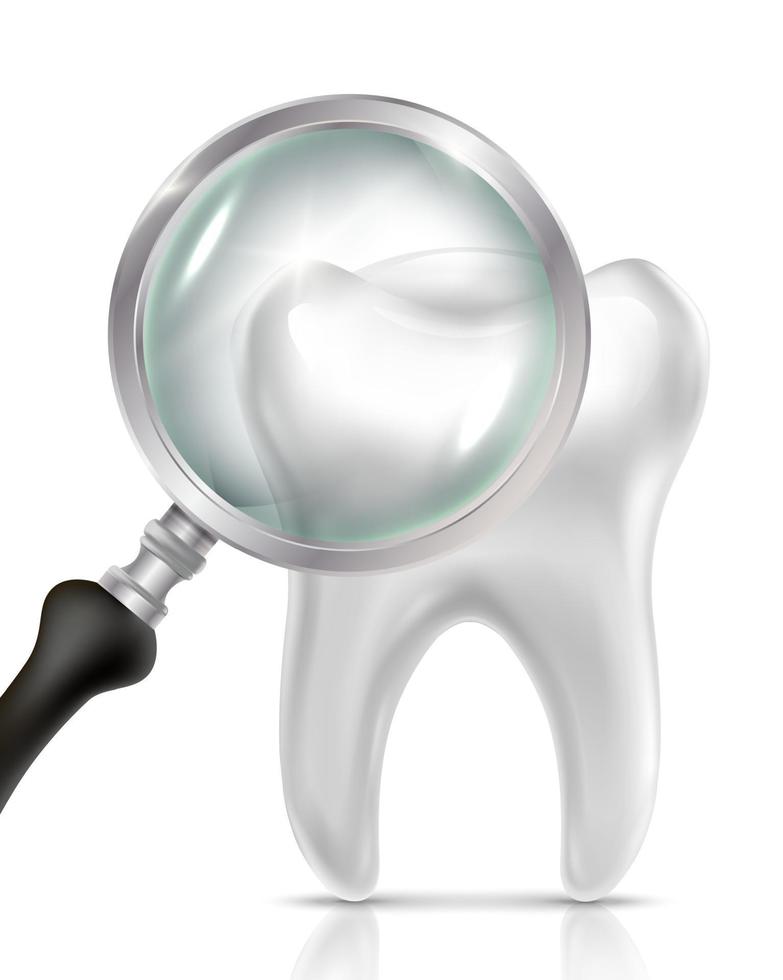 Vector 3d realistic dentist icon with tooth and magnifying glass. Isolated on white background.