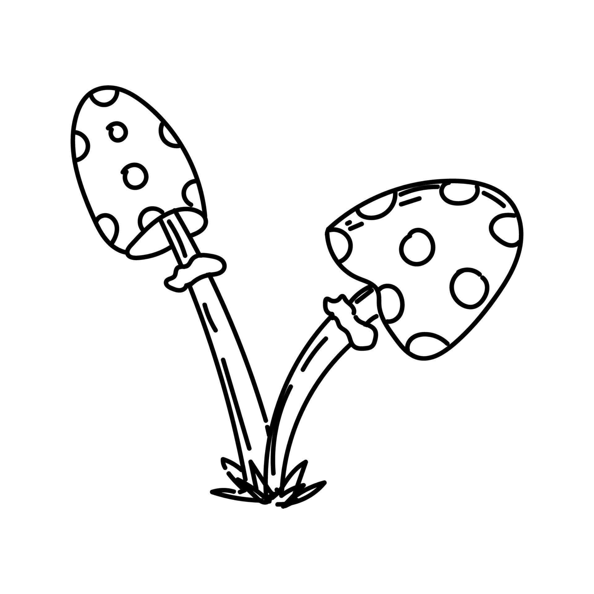 Two fly swatter, handdrawn elements in a doodle style. Mushrooms