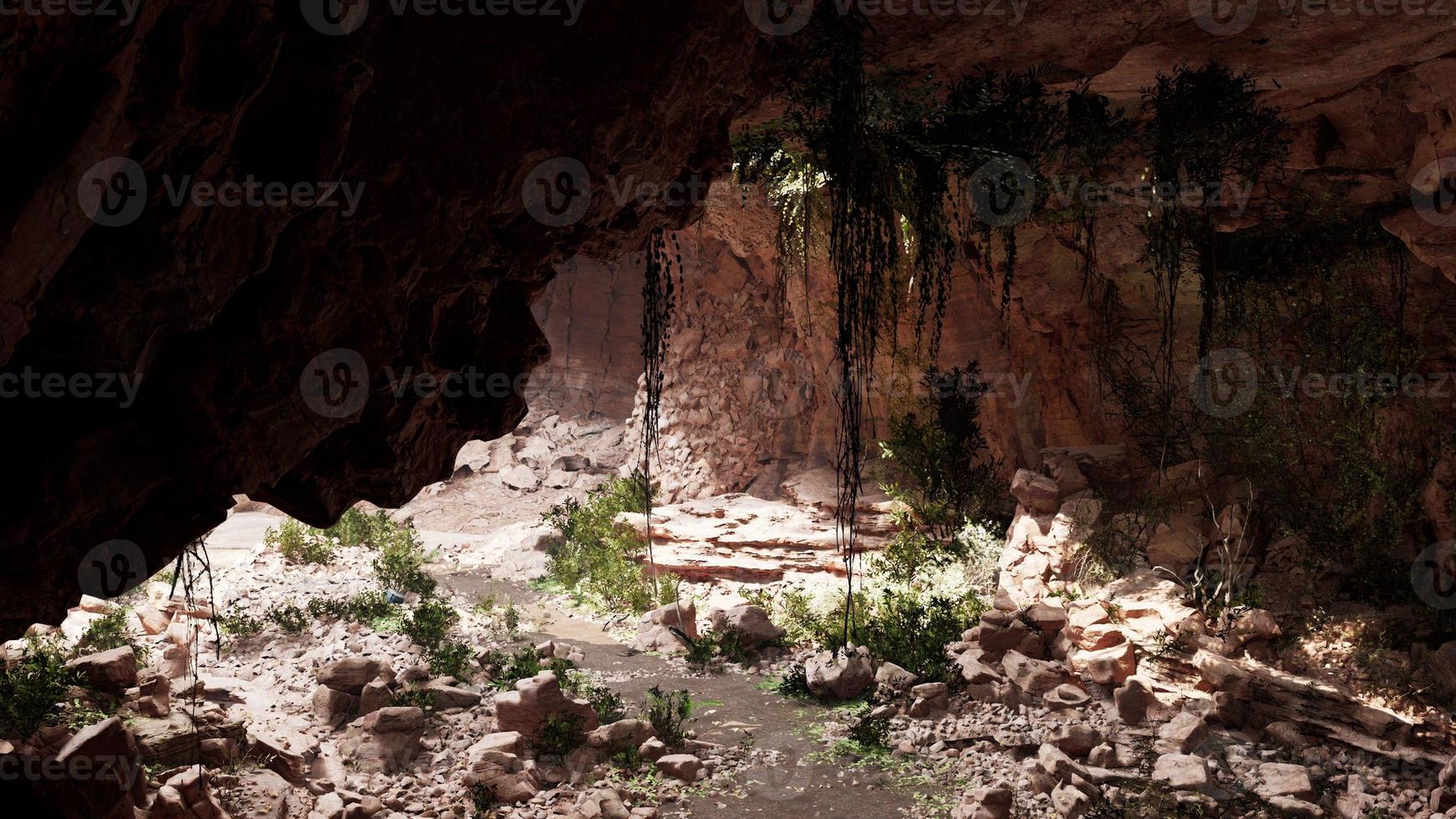 view from inside a dark cave with green plants and light on the exit photo