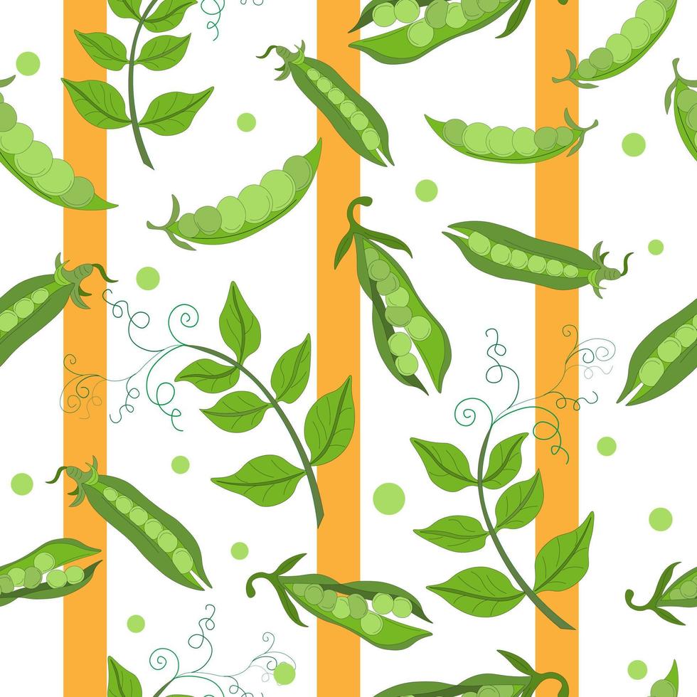 Seamless pattern of green peas, twigs with leaves and pods of open peas. Vegetarian Food. Vector doodles. Suitable for branded wrapping paper and packaging of raw, canned, frozen vegetables. ESP 10