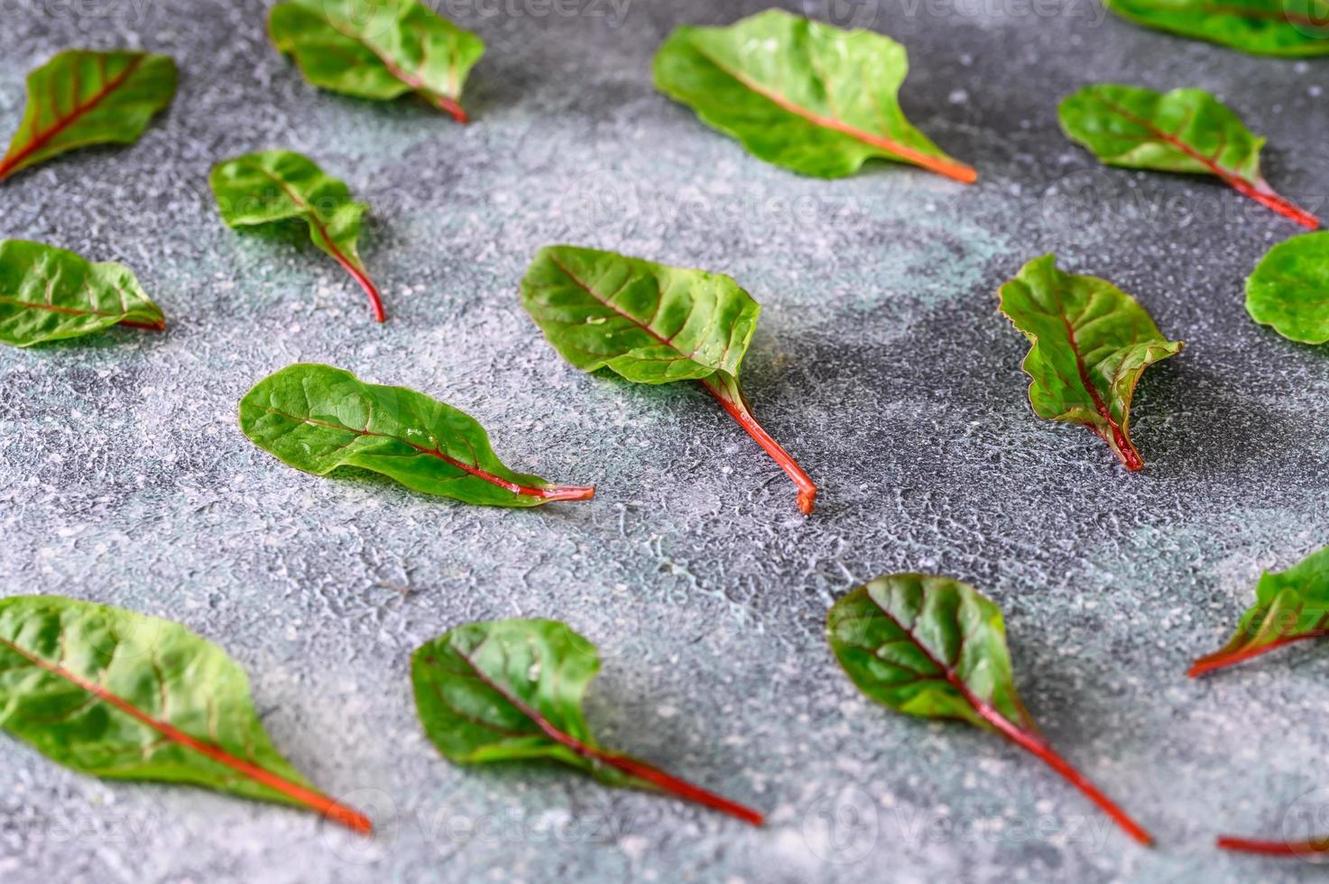 Red chard closeup photo