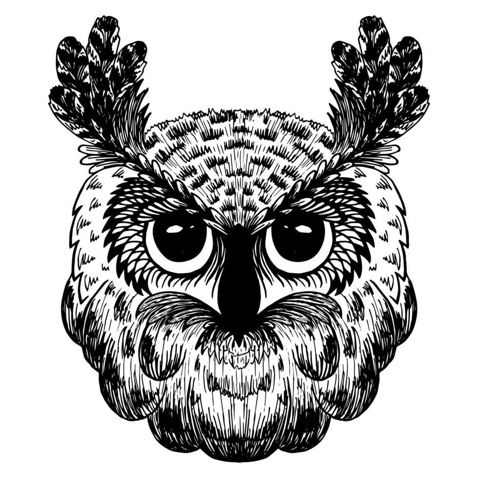 Owl is a stylized image vector