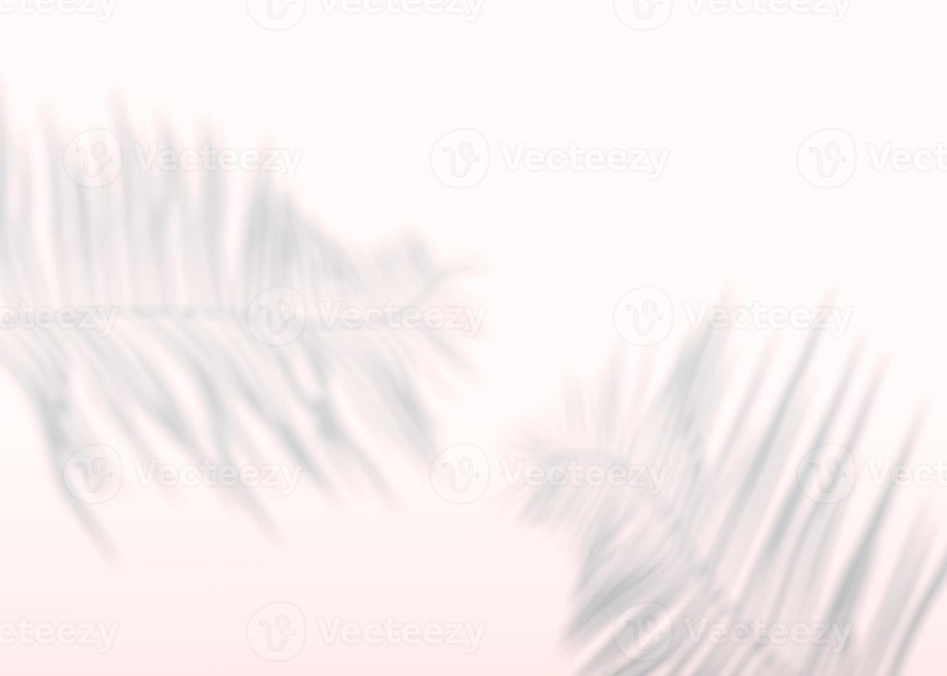 Abstract background of shadows palm leaves on a wall. 3d rendering. photo