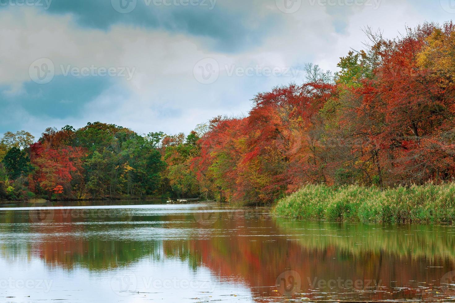 Colorful autumn trees on the lake photo