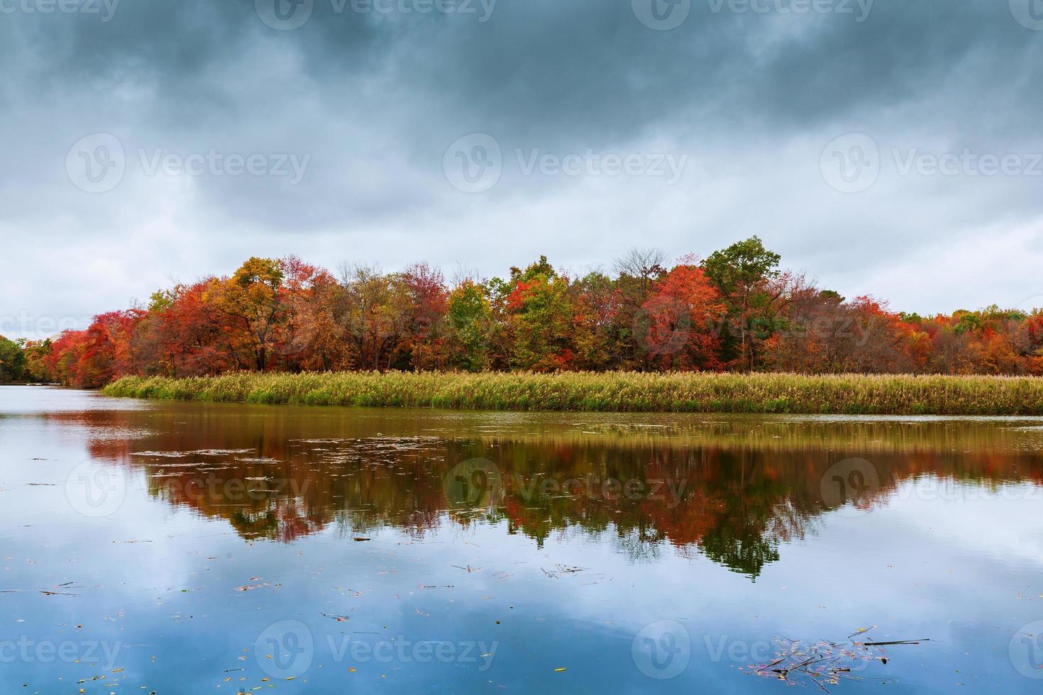 Colorful autumn trees on the lake photo