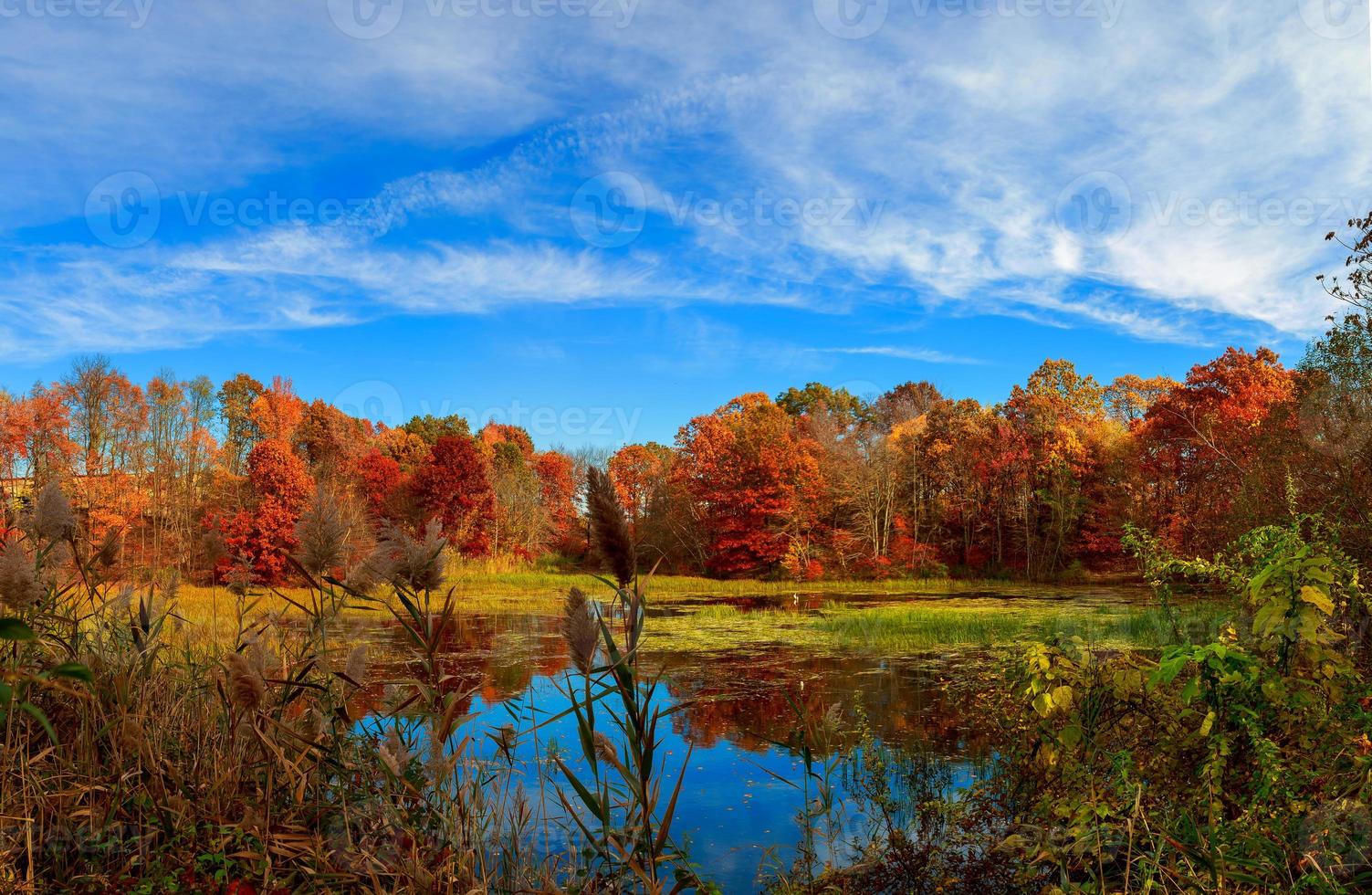 Pond in autumn, yellow leaves, reflection photo