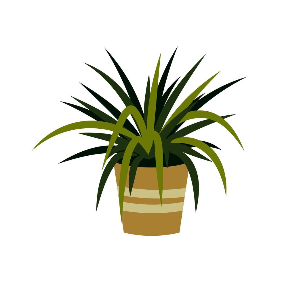 Vector illustration of a potted home plant isolated on white. Home plant in a pot. Interior design element.