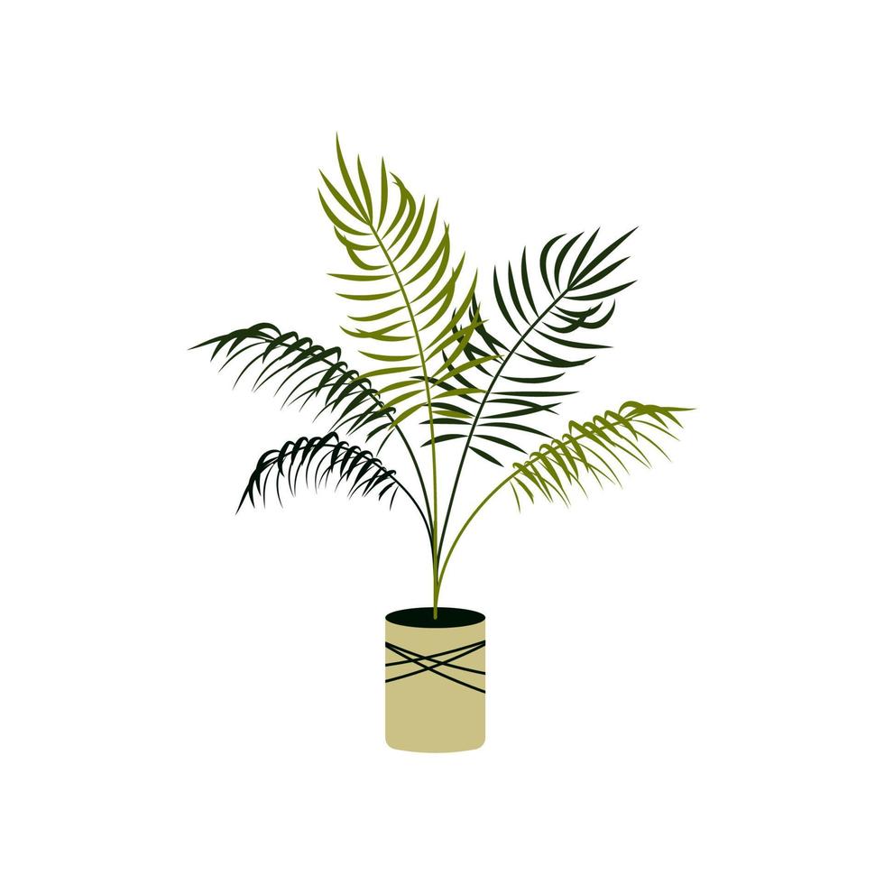 Vector illustration of a potted date palm isolated on white. Home plant in a pot. Interior design element.