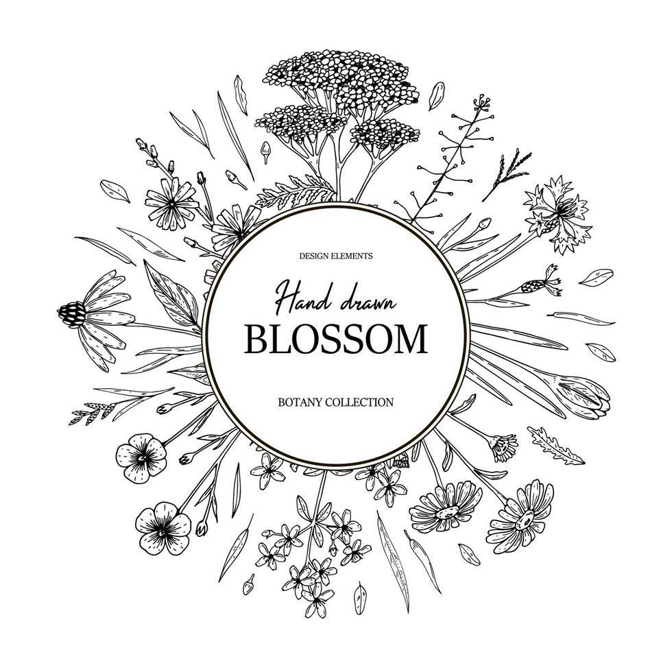 marco de flores silvestres de verano dibujado a mano. ilustración vectorial en estilo boceto vector