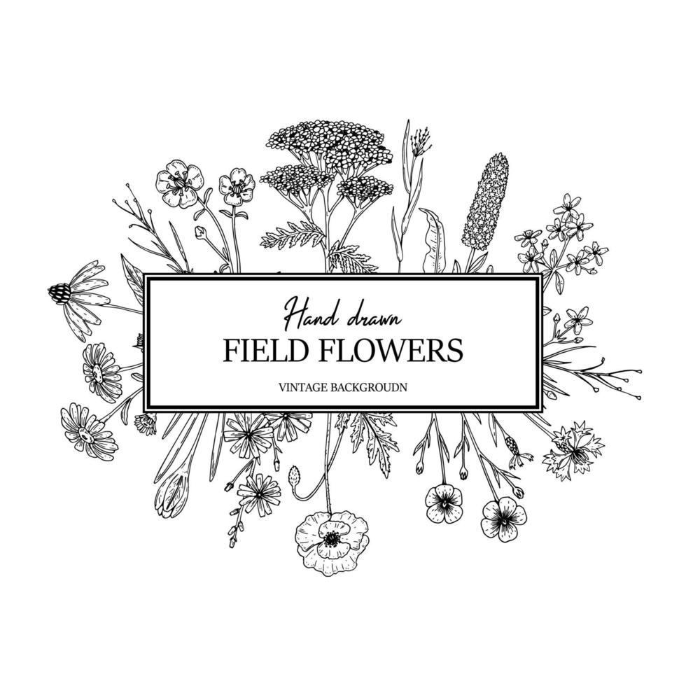 Hand drawn summer wild flowers frame. Vector illustration in sketch stile