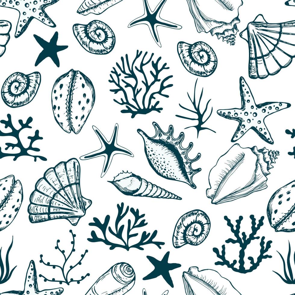 Hand drawn sea shells, seaweed and stars seamless collection. For fabric, wallpaper, wrapping paper, textile, bedding, t-shirt print. vector