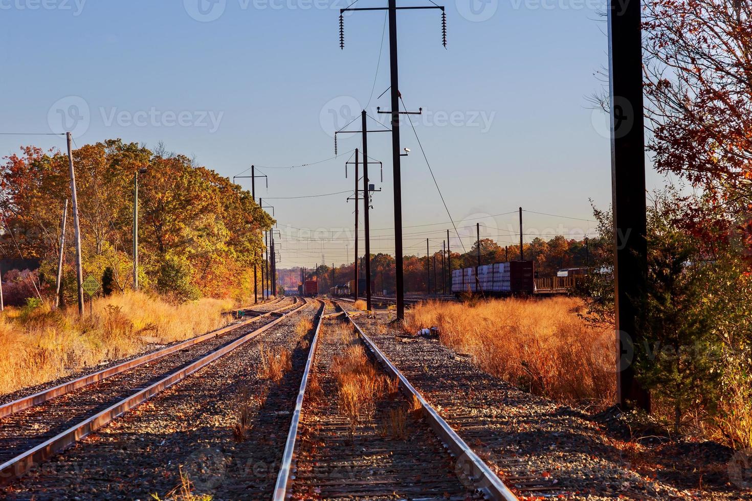 metal railway in autumn time photo