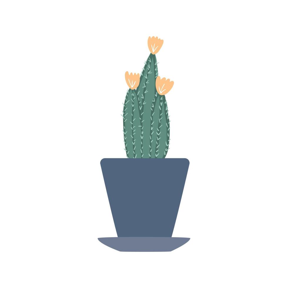 Cacti yellow flower isolated on white background. Prickly green cactus in pots. vector