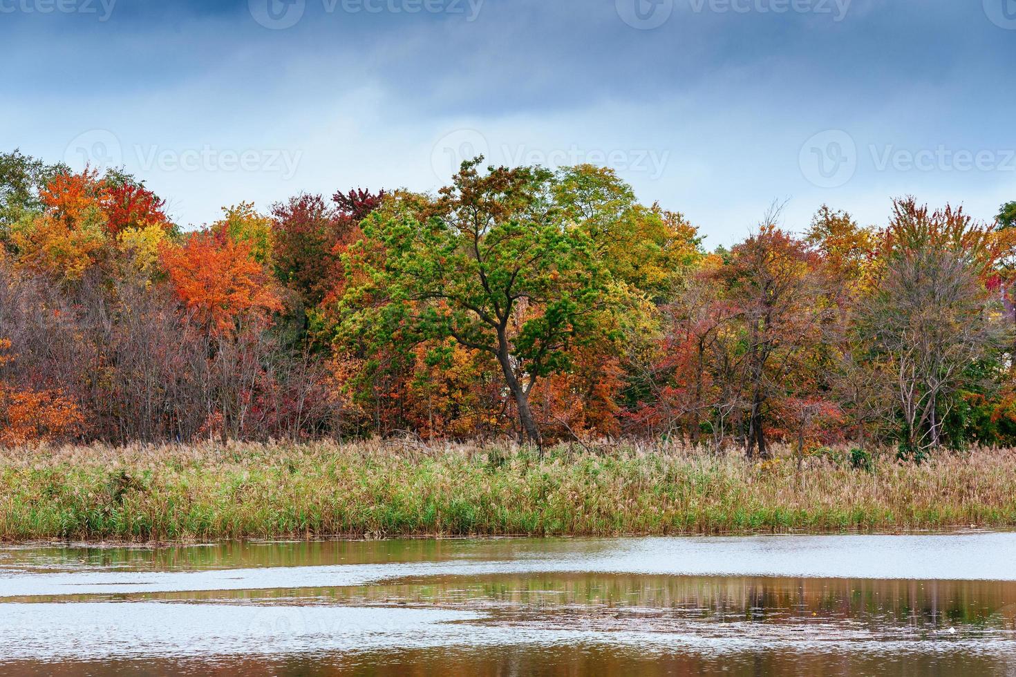 autumn landscape park with river and blue sky photo