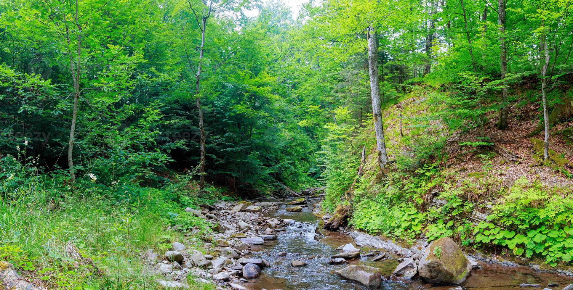 Spring time along the Little Pigeon River in the photo