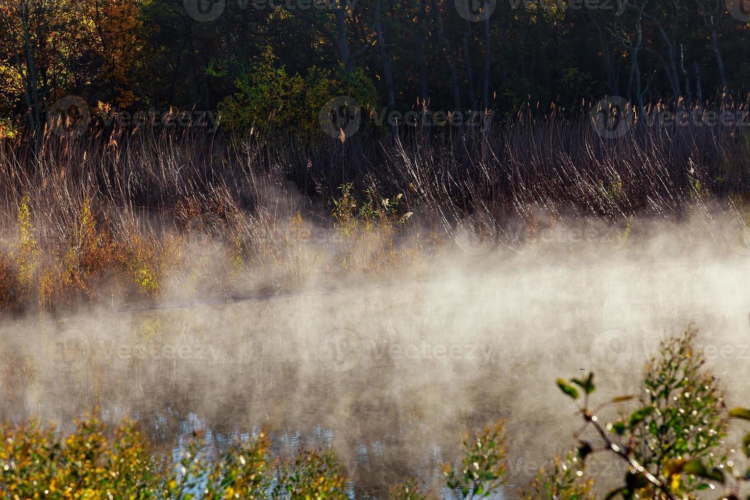 Beautiful foggy dawn over Fall River mist photo