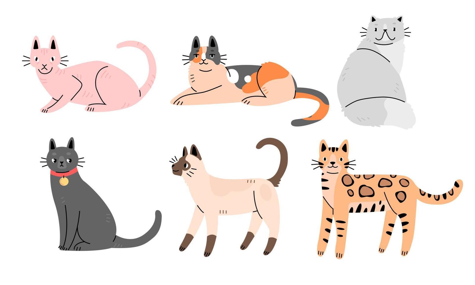 Set of cute cats icons, vector flat illustrations. Cat breeds