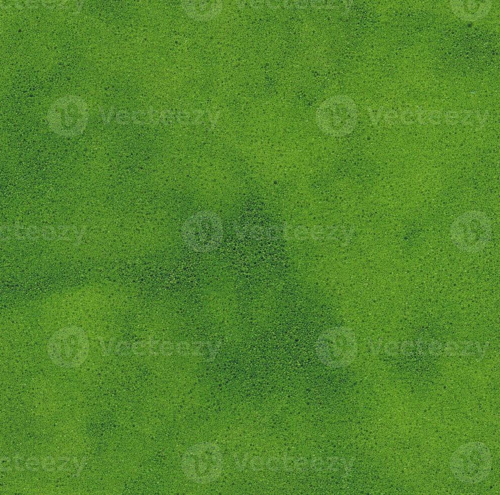 Detail of a sponge useful as a background photo