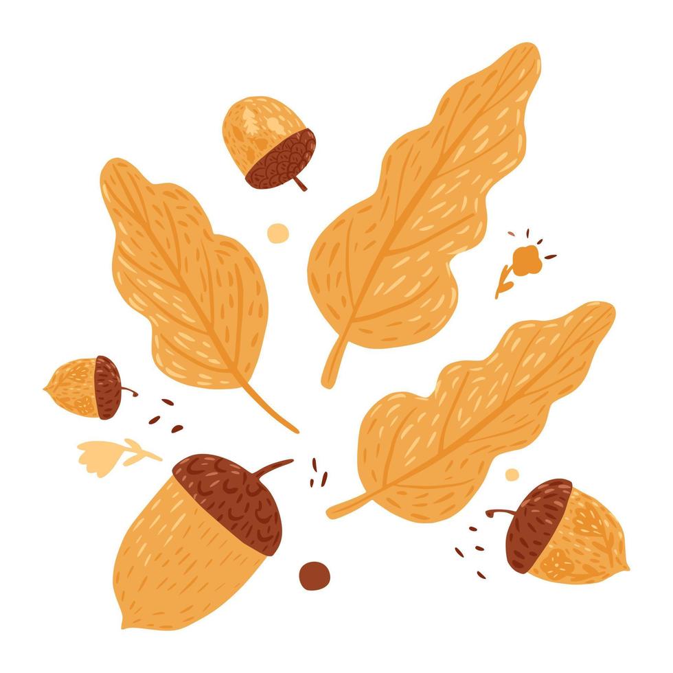 Composition acorns and leaves on white background. Autumn season acorn and leave brown color hand drawn in doodle style. vector