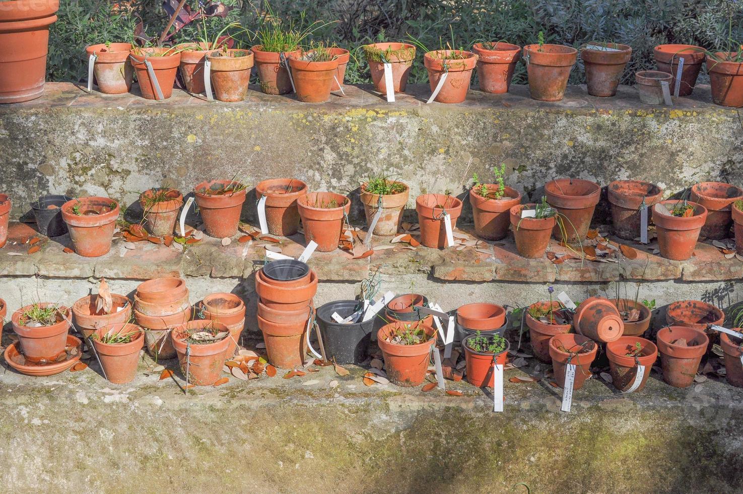 Empty flower pots for potted plants and flowers photo