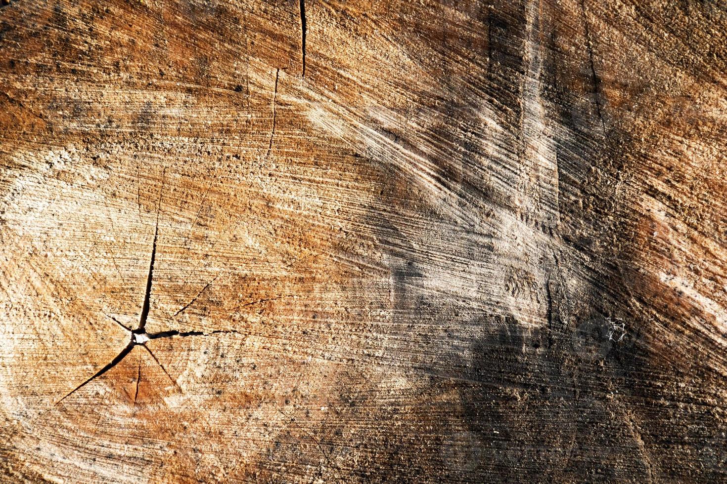 textura abstracta de madera. telón de fondo de superficie grunge. patrón de efecto de madera sucia. fondo material. foto