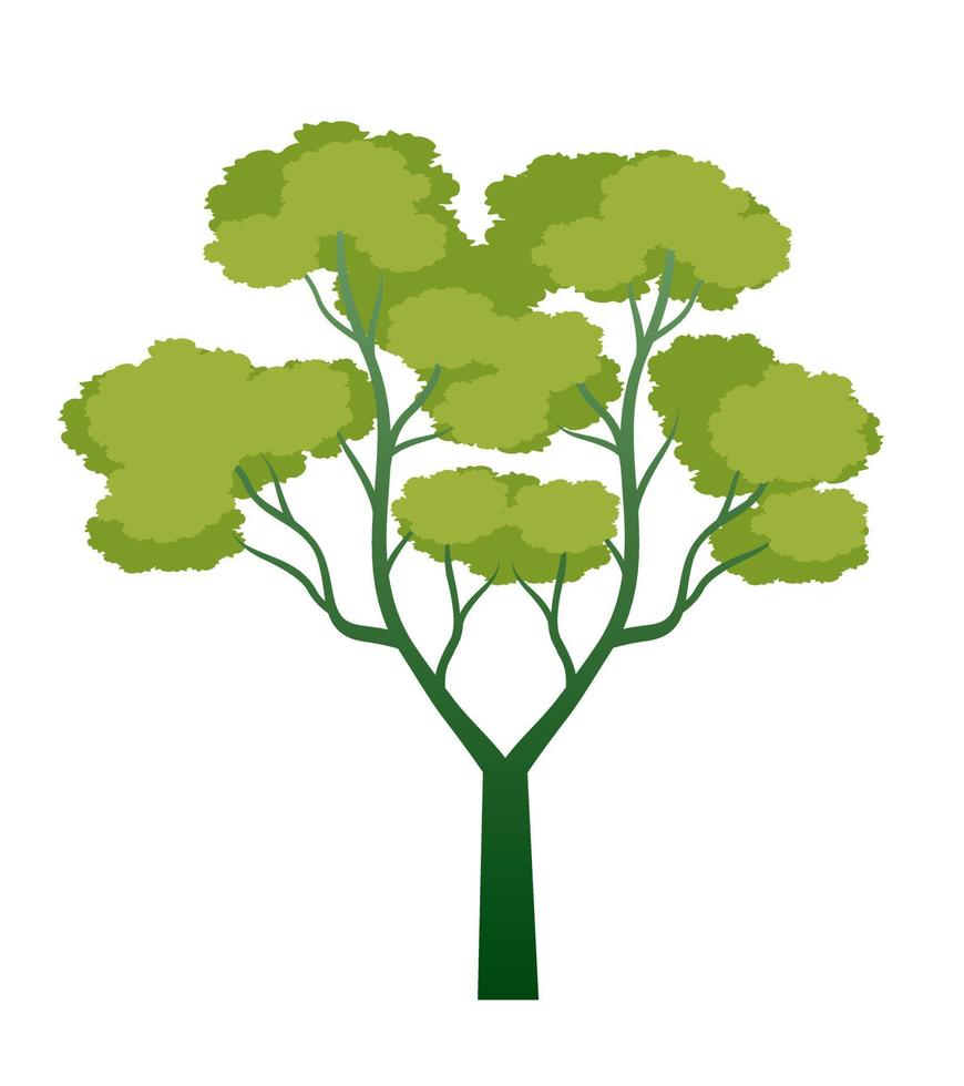 Shape of Tree with leaves. Vector outline Illustration. Plant in Garden.