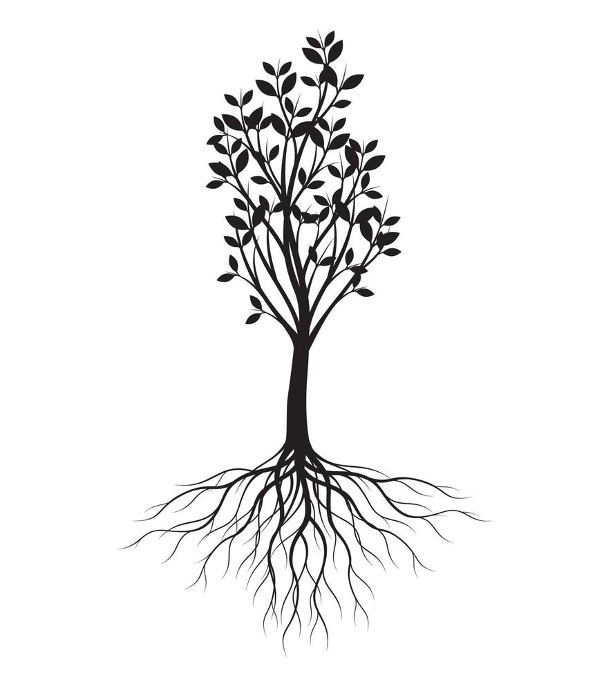 forma negra de árbol con hojas y raíces. ilustración de contorno vectorial. planta en jardín. vector