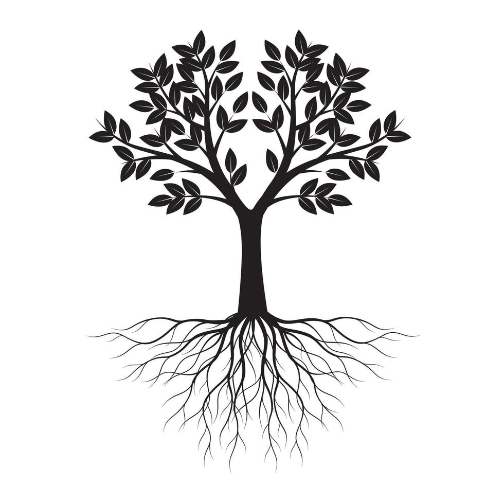 Black shape of Tree with Leaves and Roots. Vector outline Illustration. Plant in Garden.