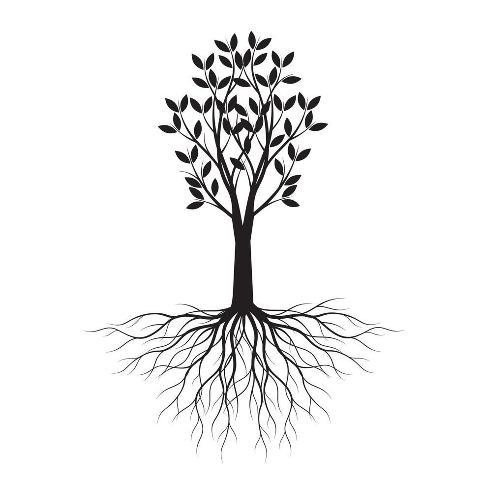 forma negra de árbol con hojas y raíces. ilustración de contorno vectorial. planta en jardín. vector