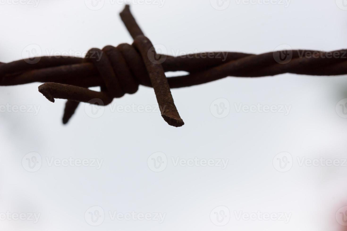Barbed Wire Fence with rust photo