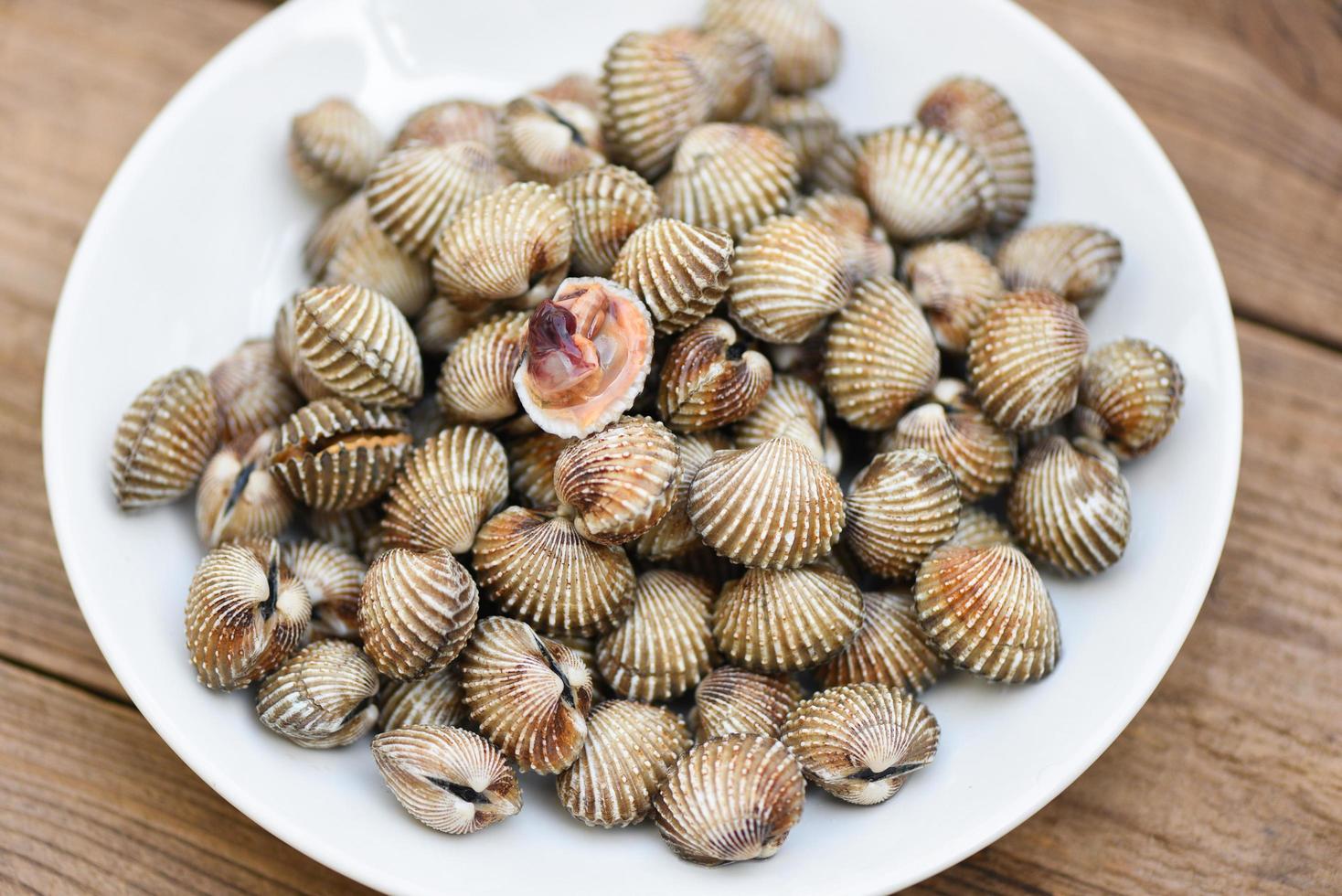 Cockles on white plate wooden background, Fresh raw shellfish blood cockle ocean gourmet seafood in the restaurant photo