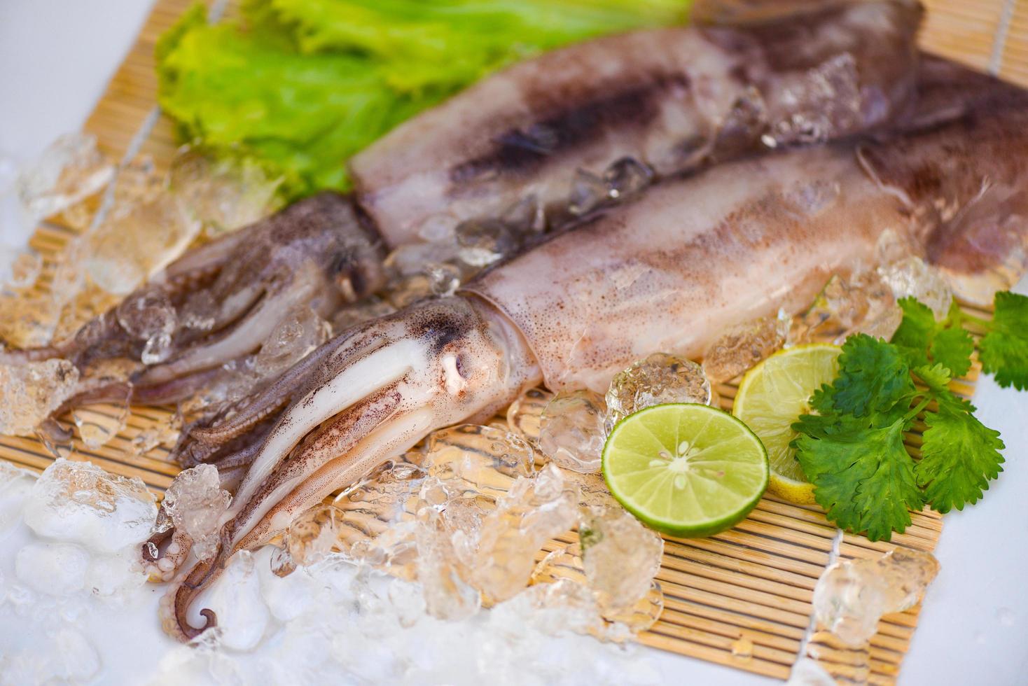 Squid on ice, Fresh raw squid with lettuce vegetable salad seafood coriander lemon lime on white plate background photo