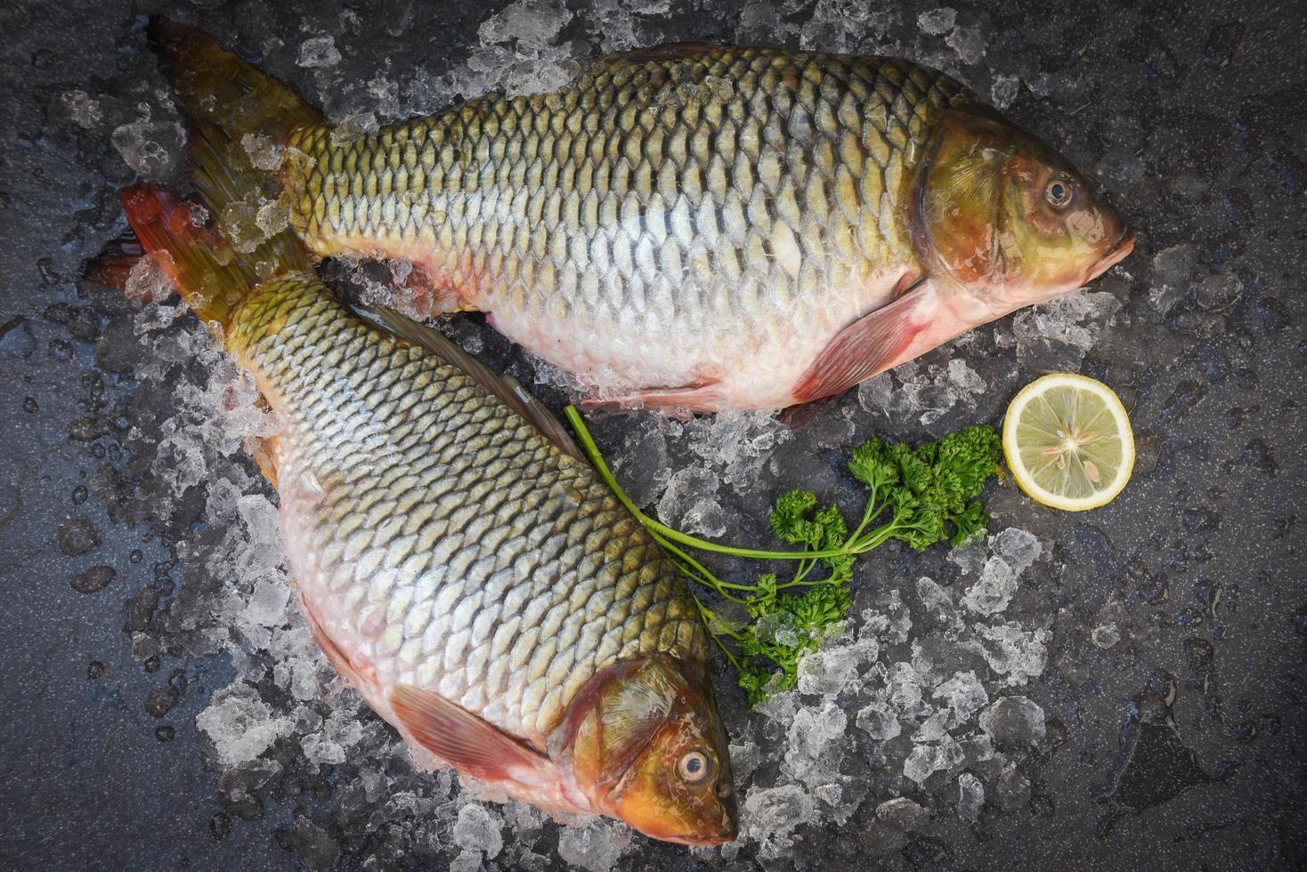 Carp fish, Fresh raw fish on ice for cooked food with parsley lemon and dark background, common carp freshwater fish market photo