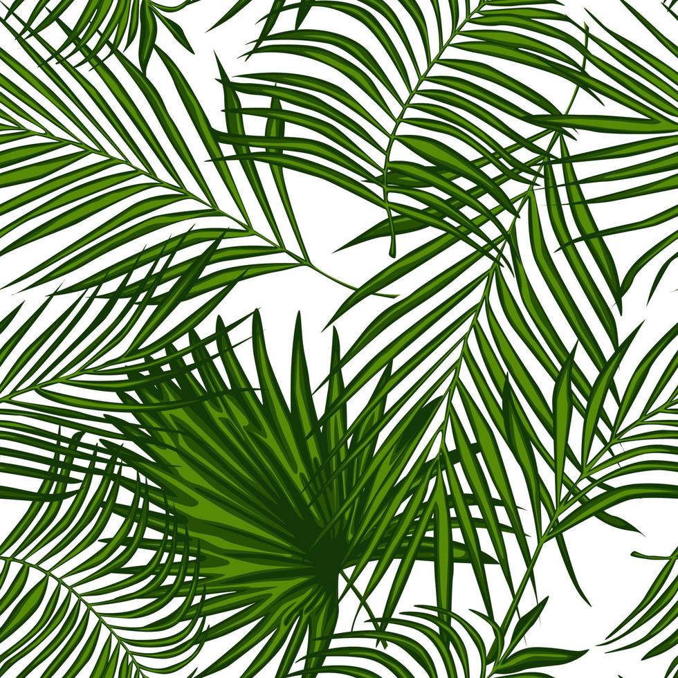 Abstract exotic plant seamless pattern. palm leaves wallpaper. vector