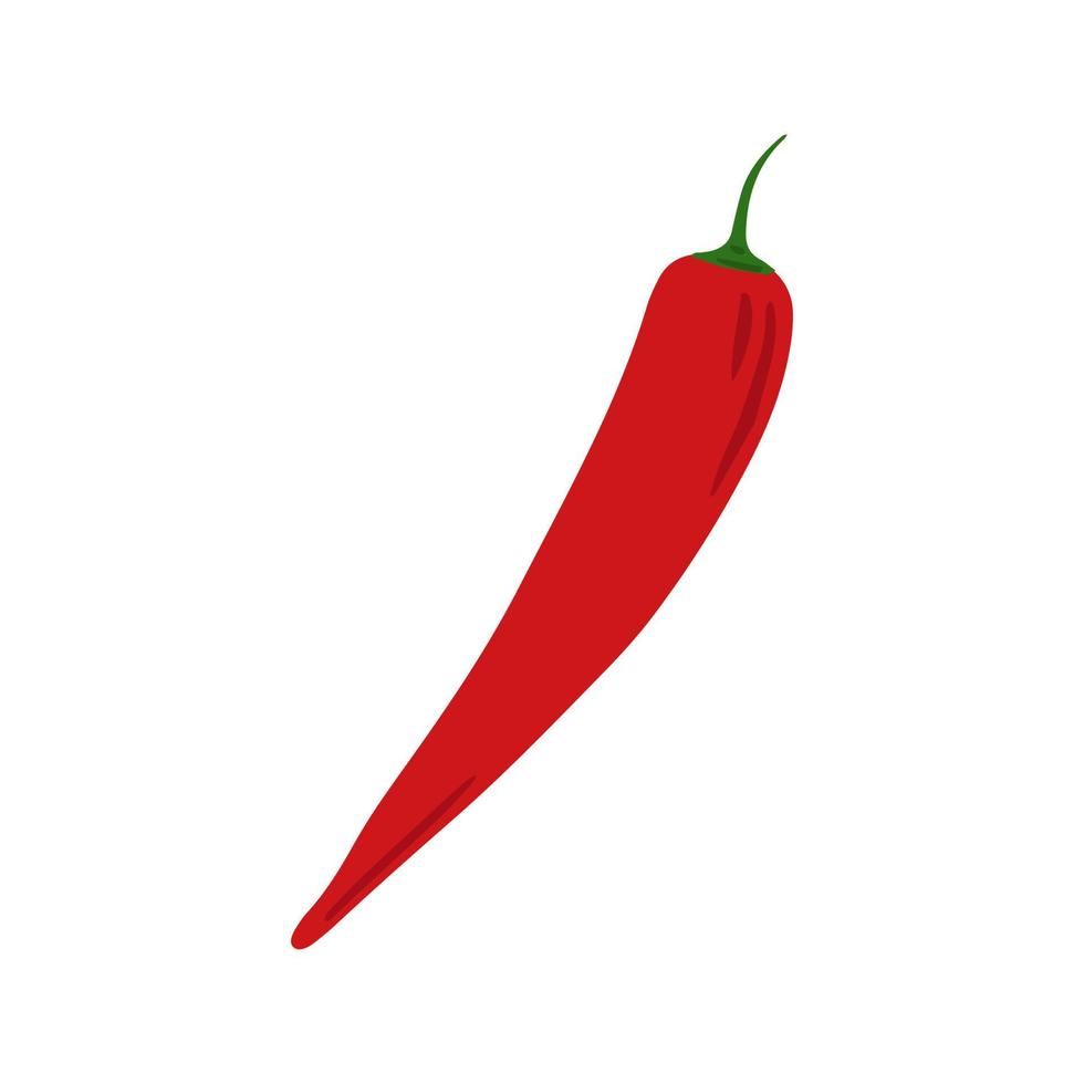 Doodle red chilli isolated on white background. Hand drawn cayenne pepper vegetable. vector