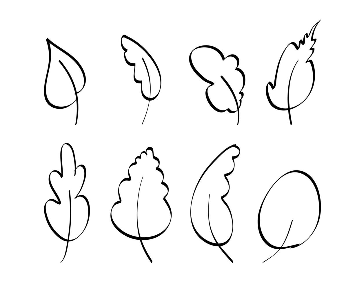 A set of hand-drawn leaves. Elements for the design of postcards, books, menus or advertising. Isolated. Vector illustration.