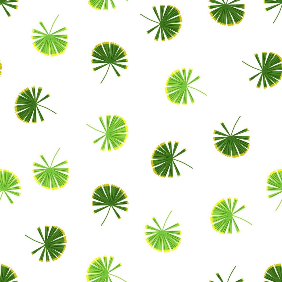 patrón sin costuras de siluetas de licuala de palmeras verdes aleatorias. fondo de garabato botánico aislado. vector